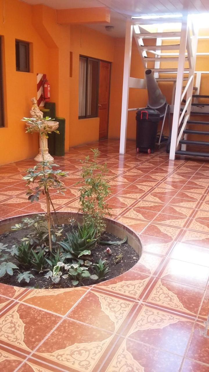 Hotel Don Alfredo Калама Экстерьер фото